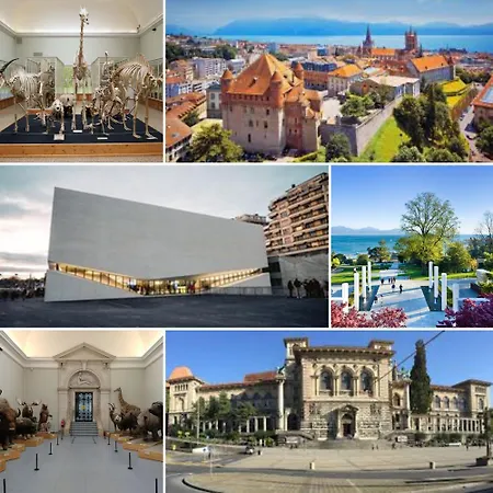 Am3office Lausanne New, Cozy, Central, Fast Wi-fi & Contactless Check-in *